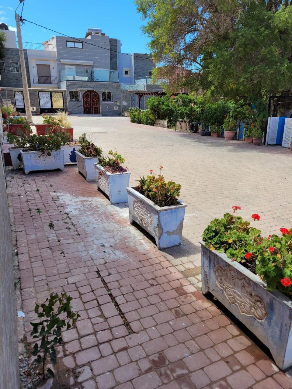 Imi Ouaddar Apartment Just Steps From The Beach Agadir n'Ait Sa Buitenkant foto