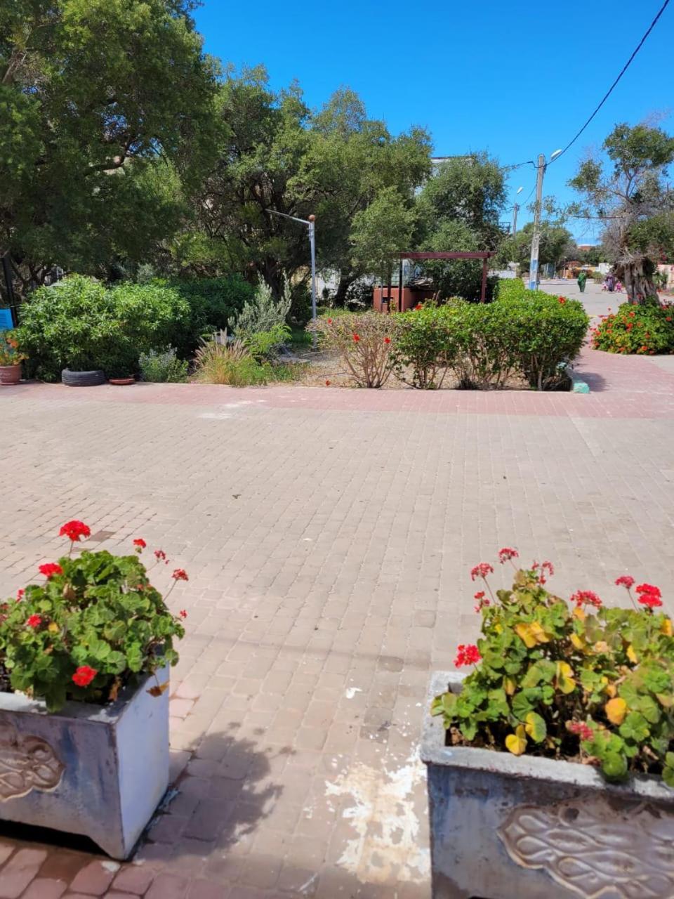 Imi Ouaddar Apartment Just Steps From The Beach Agadir n'Ait Sa Buitenkant foto
